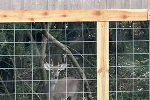 11807 Whispering Pines Ln, Montgomery, TX 77356 - Photo 46