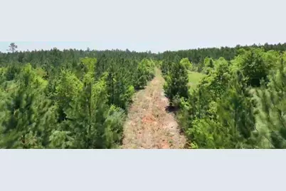 00068 Sh 249, Navasota, TX 77868 - Photo 6