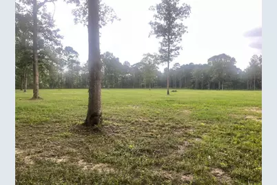 0 E Capps Rd, Livingston, TX 77351 - Photo 20