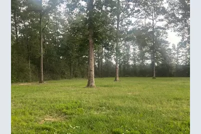 0 E Capps Rd, Livingston, TX 77351 - Photo 10