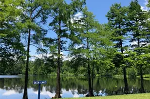 127 Neches Nook Ct, Conroe, TX 77304 - Photo 10