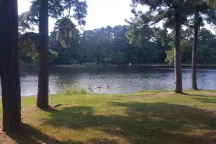 702 St Lawrence River Rd, Conroe, TX 77316 - Photo 12