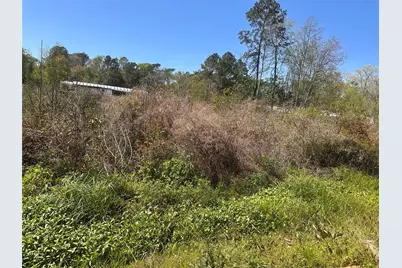 0 Dottie Lane, Shepherd, TX 77371 - Photo 6