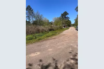 0 Dottie Lane, Shepherd, TX 77371 - Photo 4