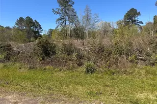 0 Dottie Ln, Shepherd, TX 77371 - Photo 1