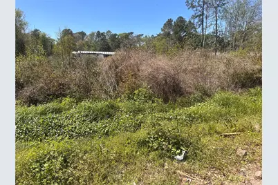 0 Dottie Lane, Shepherd, TX 77371 - Photo 2