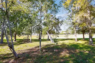 133 Cherry Tree Ln, Friendswood, TX 77546 - Photo 18