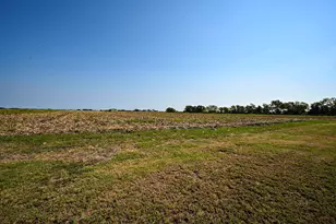 14920 Bj Dusek Rd, Wallis, TX 77485 - Photo 18