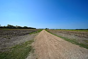 14920 Bj Dusek Rd, Wallis, TX 77485 - Photo 20