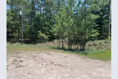 Tbd E Moonlight Circle, Onalaska, TX 77360 - Photo 4