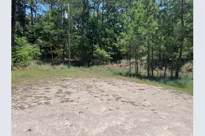 Tbd E Moonlight Circle, Onalaska, TX 77360 - Photo 2