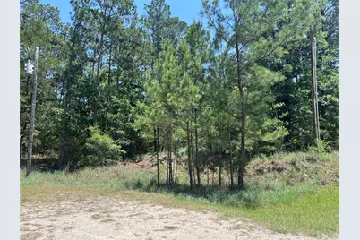 Tbd E Moonlight Circle, Onalaska, TX 77360 - Photo 18