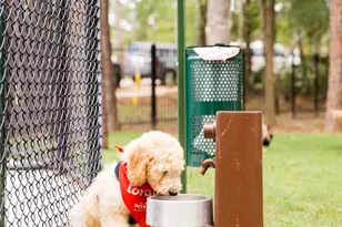 403 Venado View Court, Conroe, TX 77304 - Photo 36