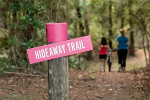 403 Venado View Court, Conroe, TX 77304 - Photo 44