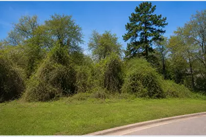 3107 Canterbury Lane, Montgomery, TX 77356 - Photo 2