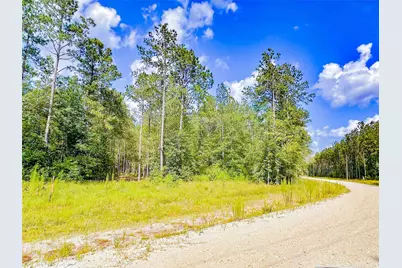 9010 Carter Ranch Road, Kountze, TX 77625 - Photo 8