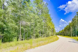 9010 Carter Ranch Rd, Kountze, TX 77625 - Photo 1