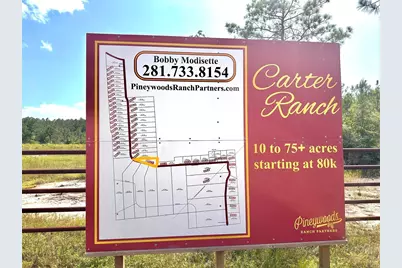 9010 Carter Ranch Road, Kountze, TX 77625 - Photo 4