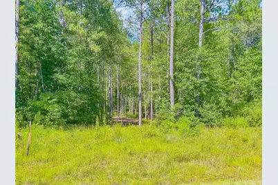 9010 Carter Ranch Road, Kountze, TX 77625 - Photo 6