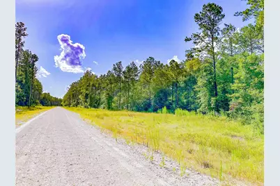 9010 Carter Ranch Road, Kountze, TX 77625 - Photo 2