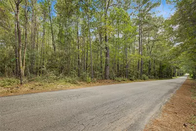 Tbd Bilnoski Road, Willis, TX 77378 - Photo 30