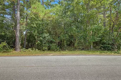 Tbd Bilnoski Road, Willis, TX 77378 - Photo 26