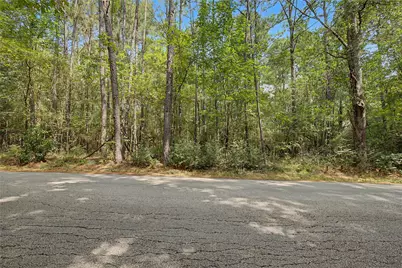Tbd Bilnoski Road, Willis, TX 77378 - Photo 32