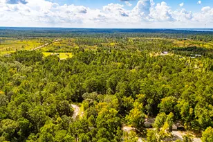 118 Finch Dr, Livingston, TX 77351 - Photo 40