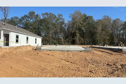 20895 Wildbird Cherry Lane, Porter, TX 77365 - Photo 2