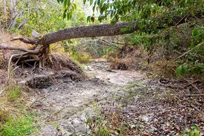 1250 Ladewig Lane, Flatonia, TX 78956 - Photo 26