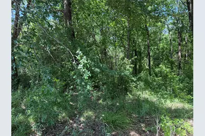 1341 & 1343 Waikiki Trail, Tool, TX 75143 - Photo 8