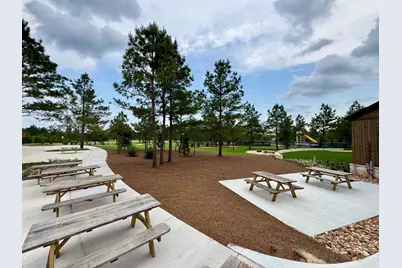 26794 Frontier Trace Drive, Montgomery, TX 77316 - Photo 28