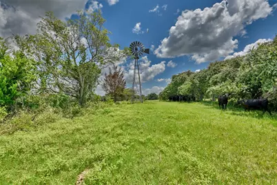 0 Wellman Road, Washington, TX 77880 - Photo 8
