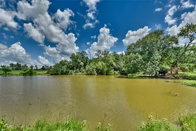 0 Wellman Road, Washington, TX 77880 - Photo 16