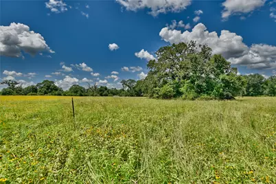 0 Wellman Road, Washington, TX 77880 - Photo 38