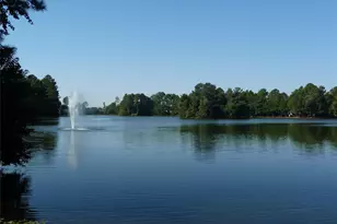 20610 Rosespring Ln, Spring, TX 77379 - Photo 32