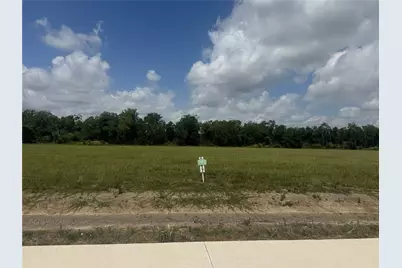 1803 Rymal Ranch Rd, Algoa, TX 77511 - Photo 1