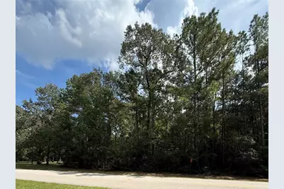 17337 Northcrest Circle, New Caney, TX 77357 - Photo 4