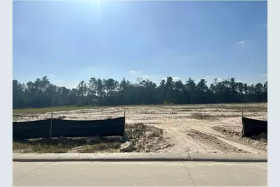 7922 Coastal  Prairie Drive, Porter, TX 77365 - Photo 4