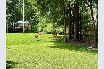 34015 Conroe Huffsmith Road, Magnolia, TX 77354 - Photo 32