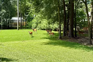 34015 Conroe Huffsmith Rd, Magnolia, TX 77354 - Photo 32