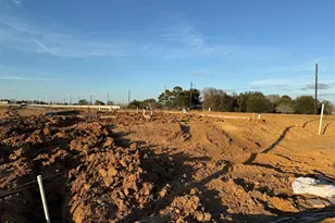 29002 Fig Vine Dr, Waller, TX 77484 - Photo 2