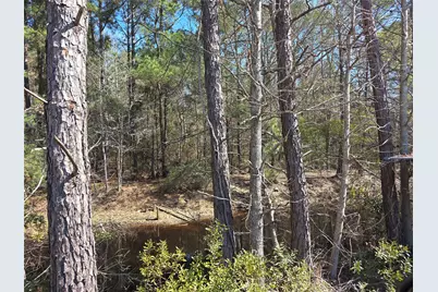 12635 Fm 356, Trinity, TX 75862 - Photo 8