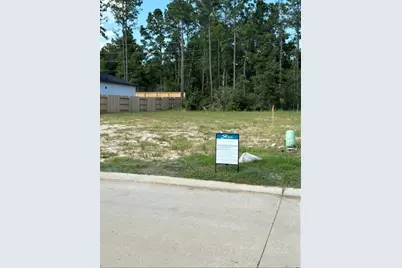 15711 Hoptree Heights Lane, Conroe, TX 77302 - Photo 2
