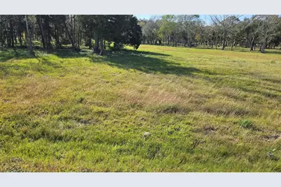 3828 County Road 326 Lot 16, Alvin, TX 77511 - Photo 4