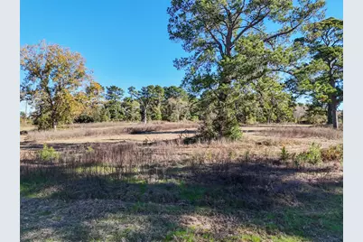 15633 1st Street, Splendora, TX 77372 - Photo 10