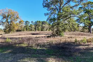 15633 1st St, Splendora, TX 77372 - Photo 10