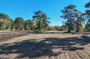 15633 1st St, Splendora, TX 77372 - Photo 12