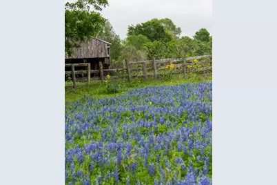 31039 Golden Felipe Street, Fulshear, TX 77441 - Photo 34