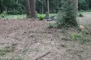 136469 Mustang Dr, Splendora, TX 77372 - Photo 4